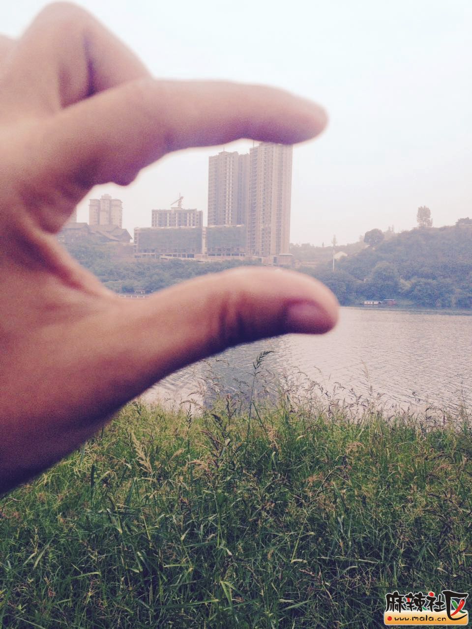 2074300258.jpg