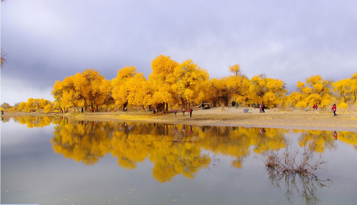 69 麻辣生活论坛 69 走遍四川-四川旅游景区 69 额济纳旗