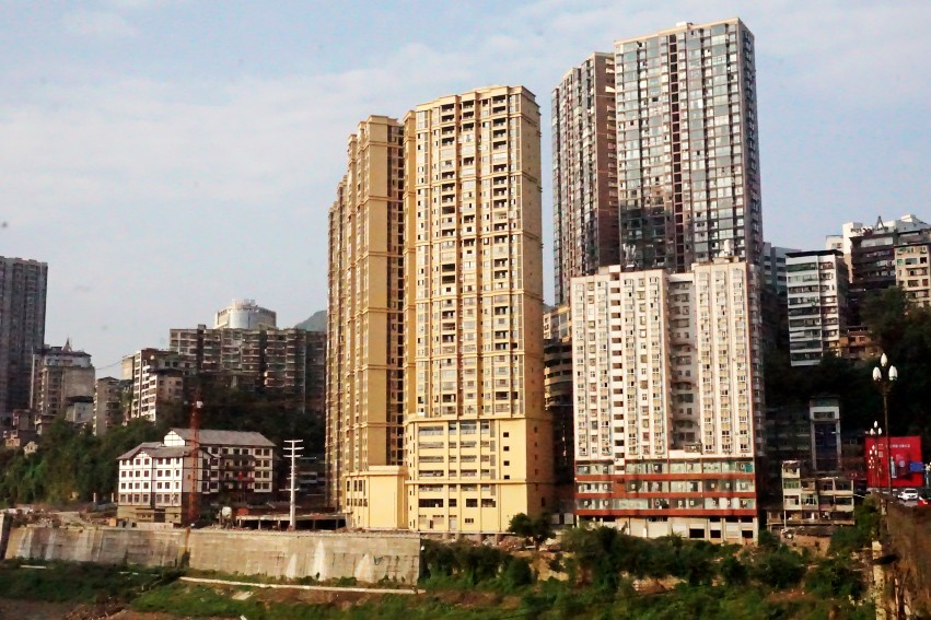 DSC03810_conew1.jpg