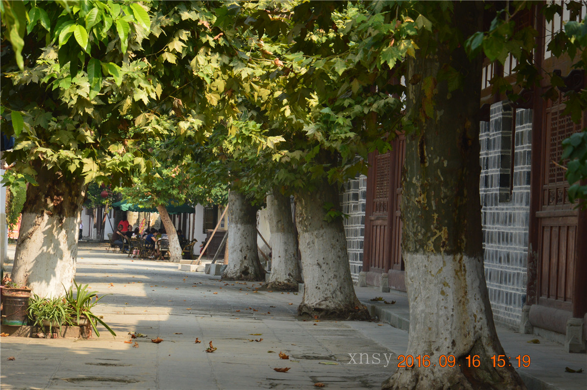 DSC_0082.JPG