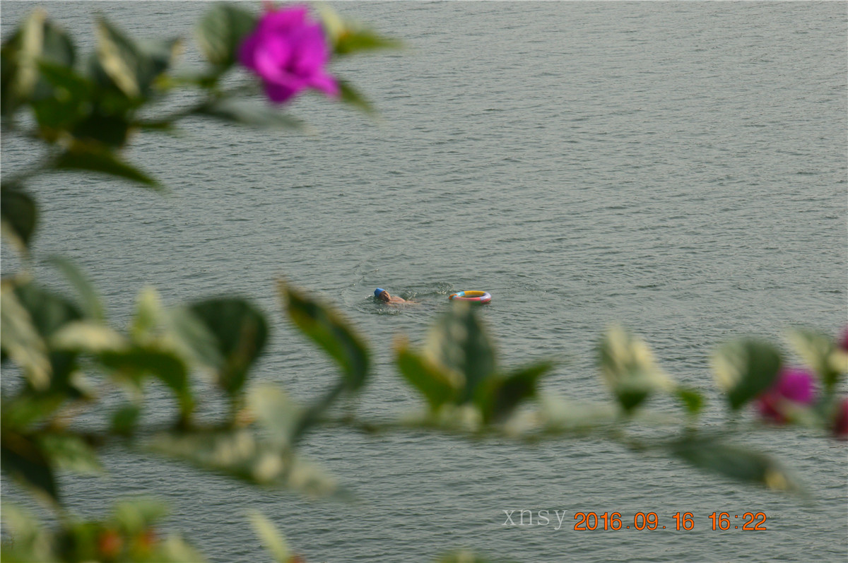 DSC_0180.JPG