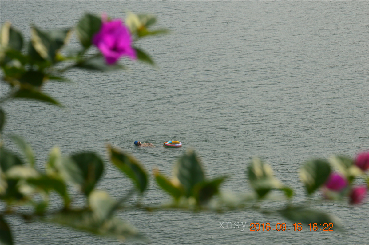 DSC_0181.JPG
