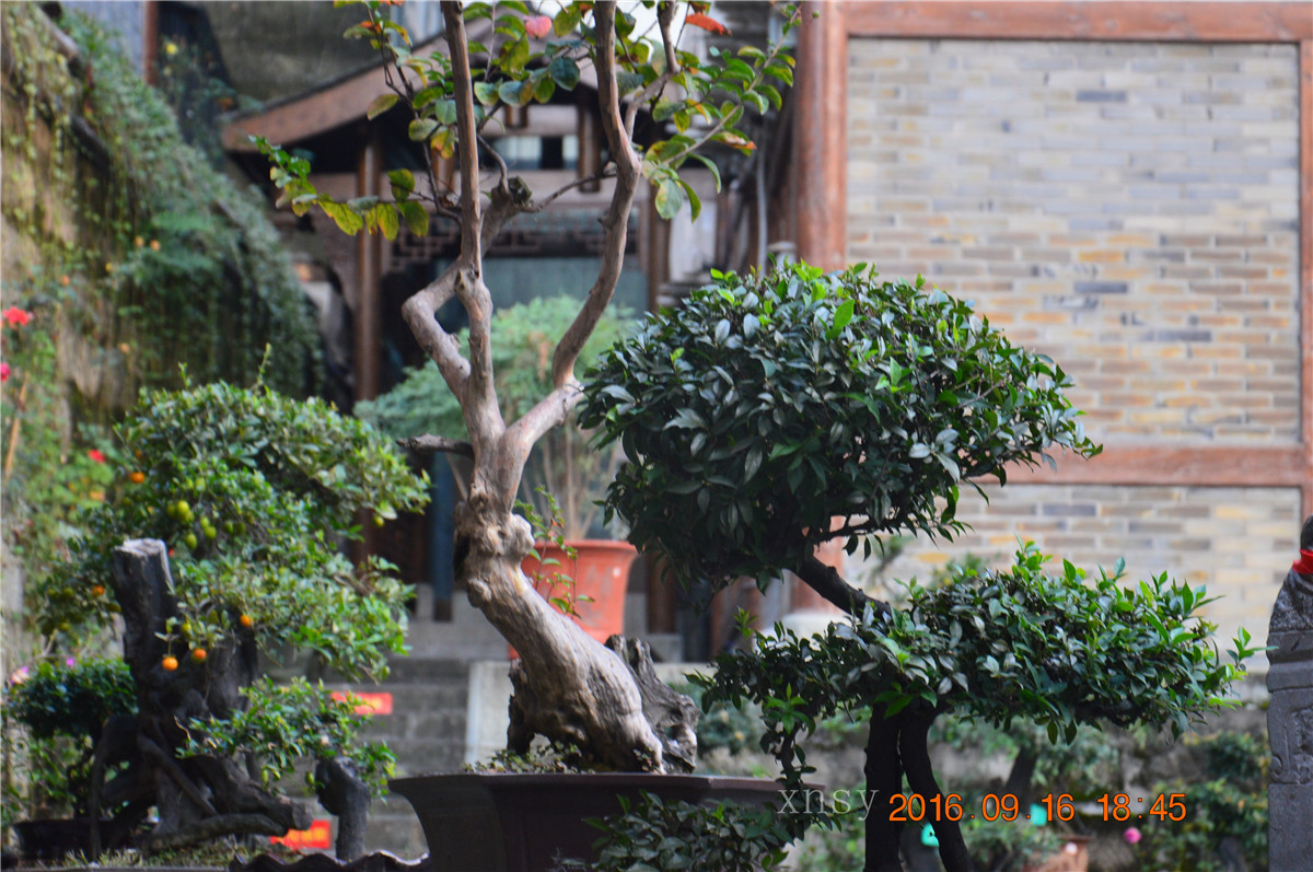 DSC_0300.JPG