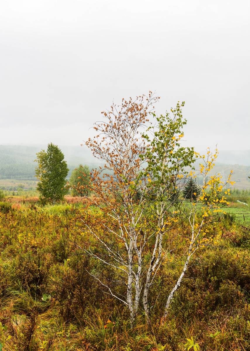 DSC_9666.jpg