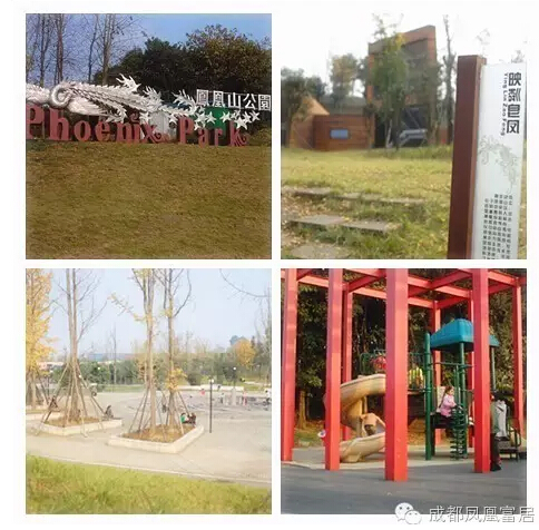 05.jpg