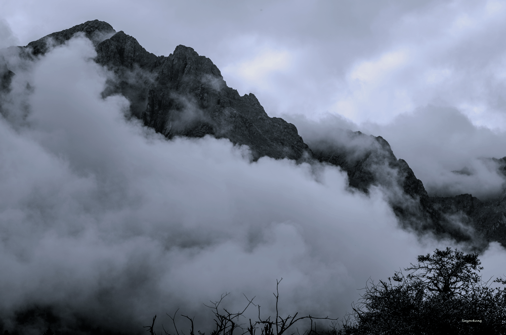 DSC_1068.gif