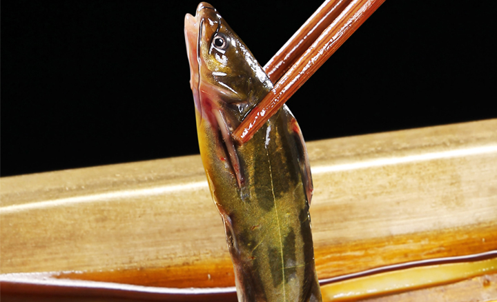 食鱼有道—秋季是吃鱼的最好时节!
