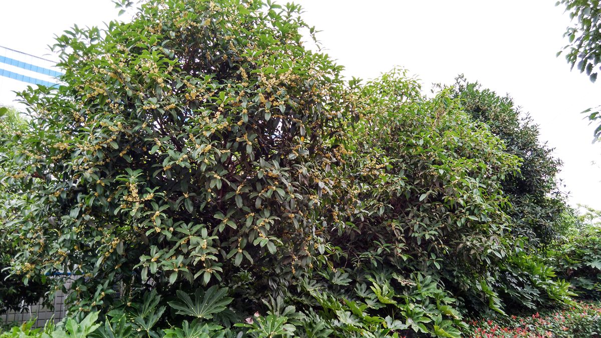 IMG_20160926_153140_HDR.jpg