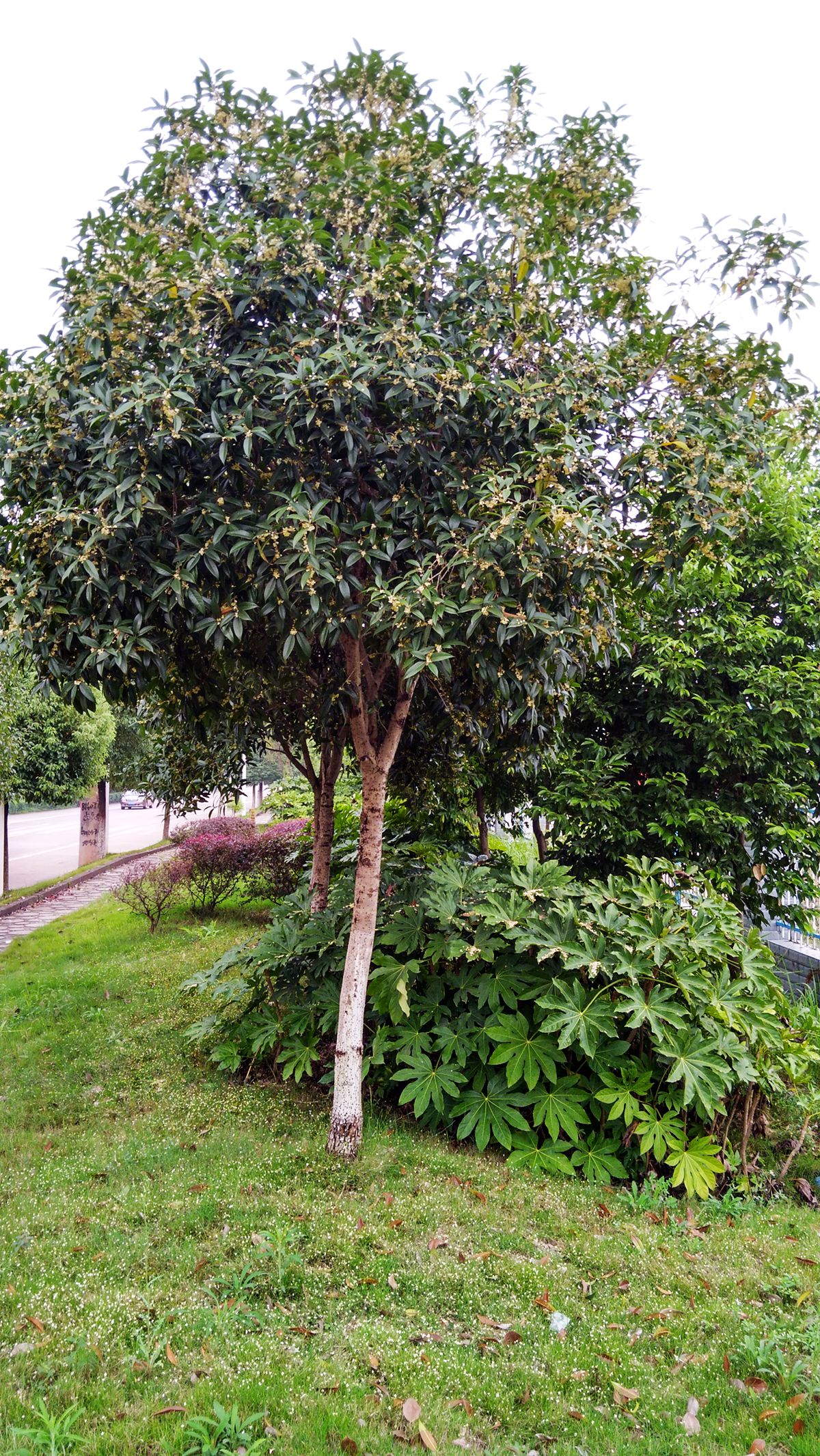 IMG_20160926_153534_HDR.jpg