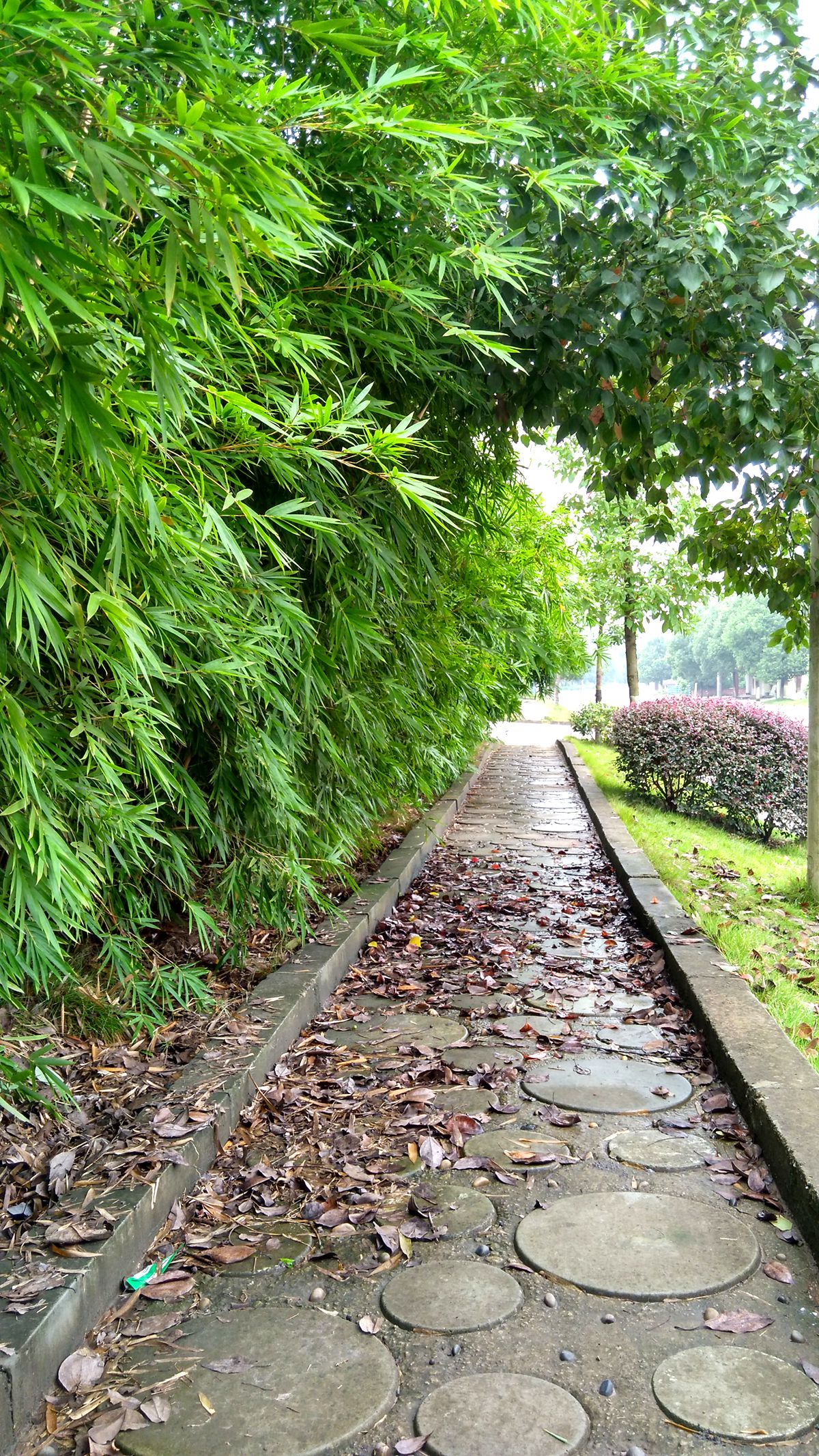 IMG_20160926_154310_HDR.jpg