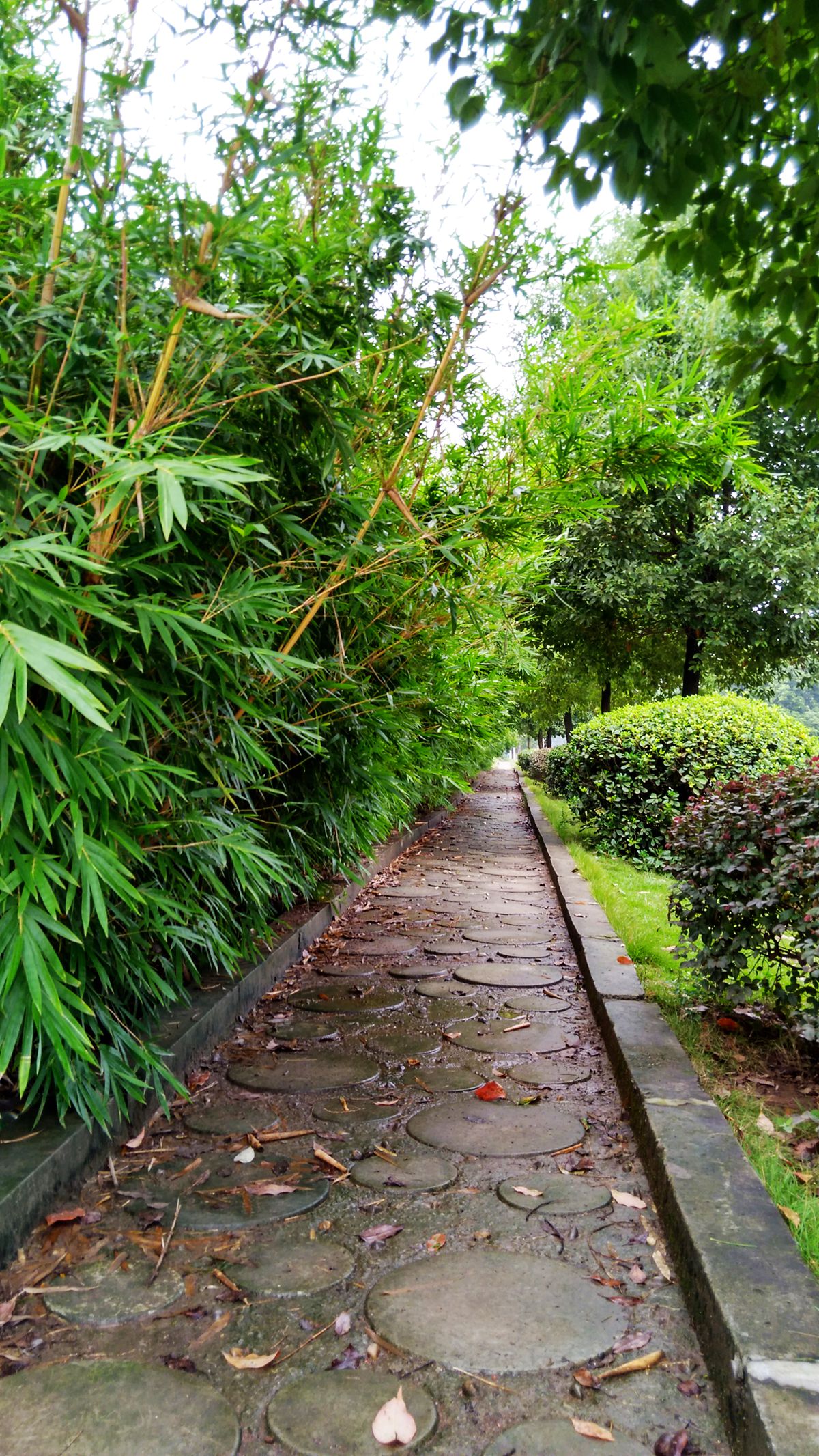 IMG_20160926_154448_HDR.jpg