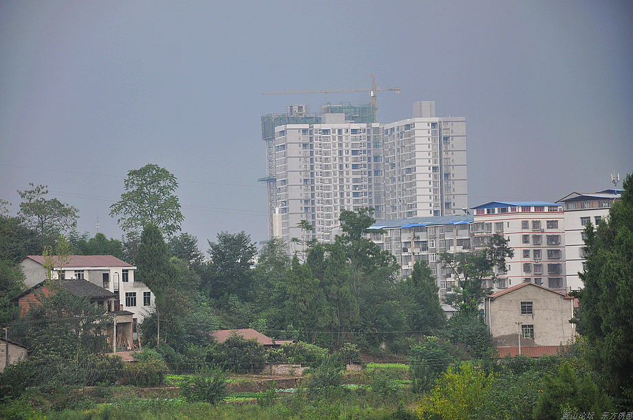 DSC_0097.jpg