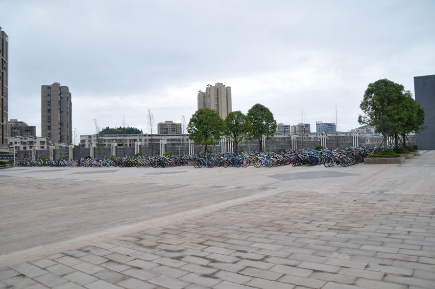 DSC_4473_.jpg