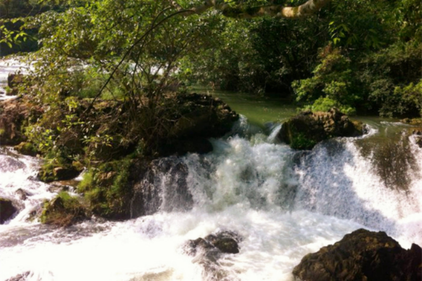 风景区真的不错,青山绿水,空气也好.