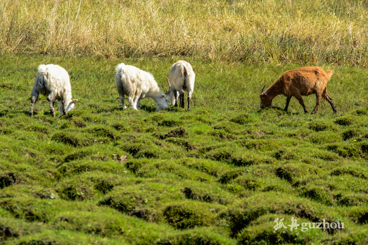DSC_0424.jpg