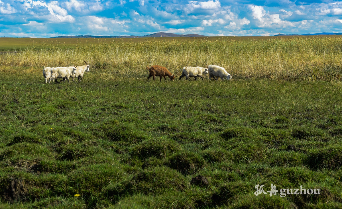 DSC_0429.jpg