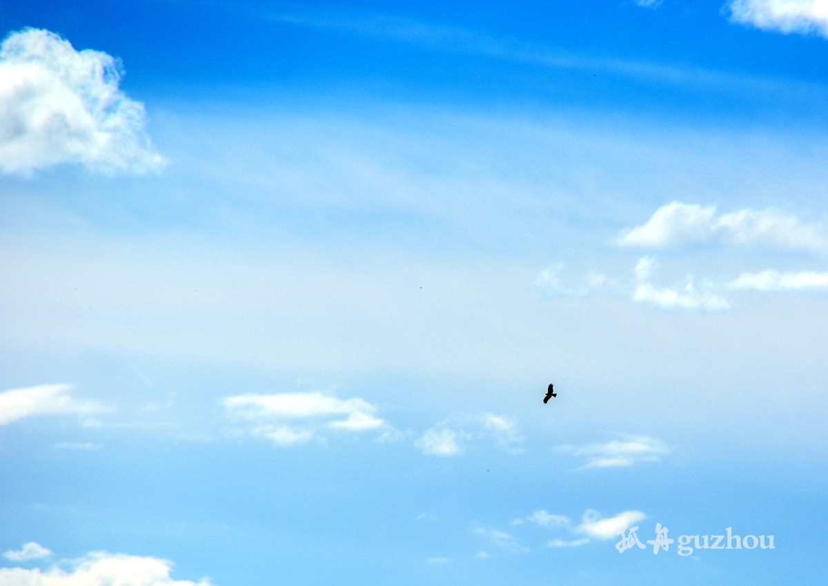 DSC_0547.jpg