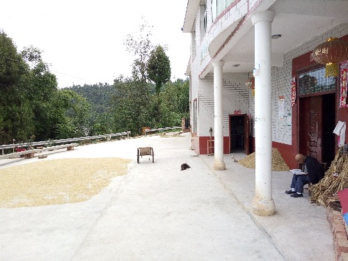 IMG20160929111105.jpg