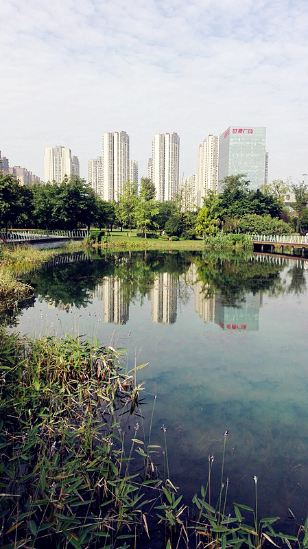 休閒娛樂秀麗的高新區大源中央公園-成都論壇-麻辣社區 四川第一網絡