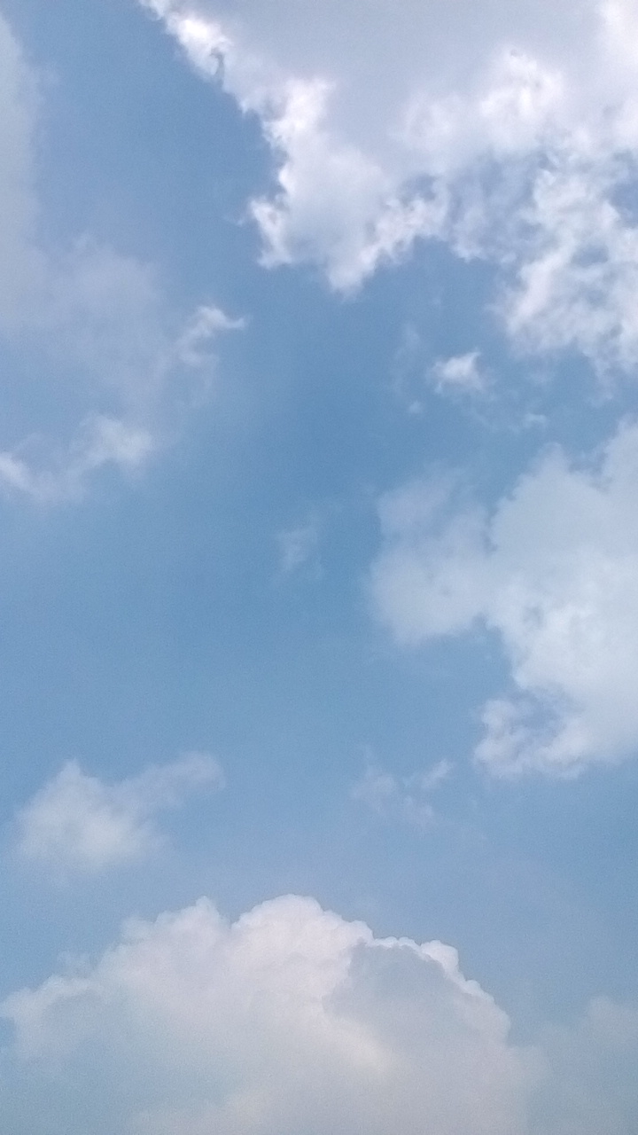 IMG_20160809_114714_109.jpg