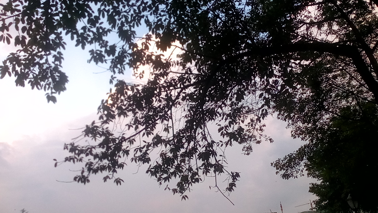 IMG_20160809_192717_686.jpg