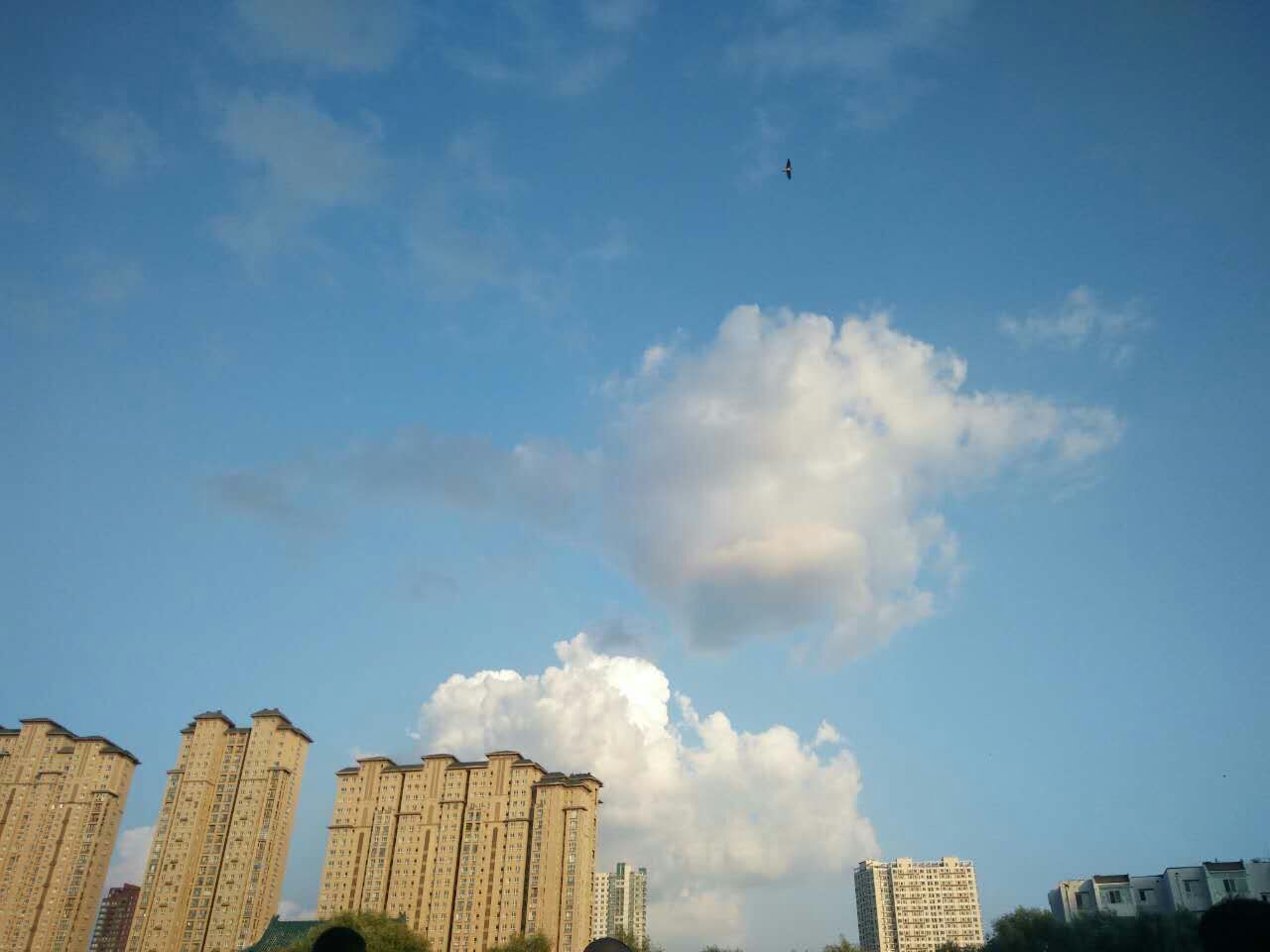 125817pxhhgklha4exbeuy.jpg