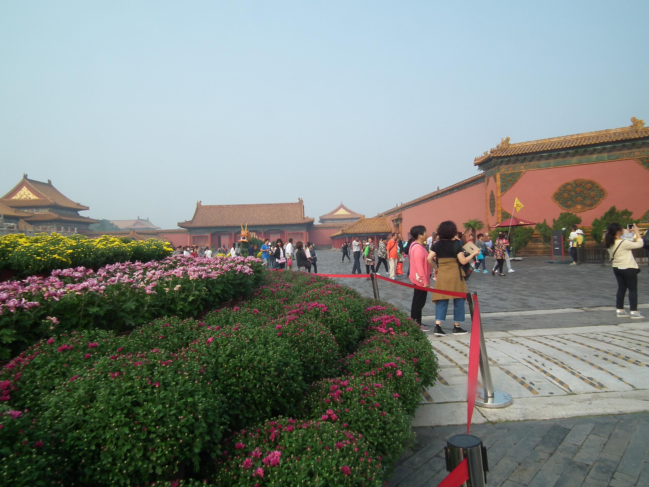 DSCF9297.JPG