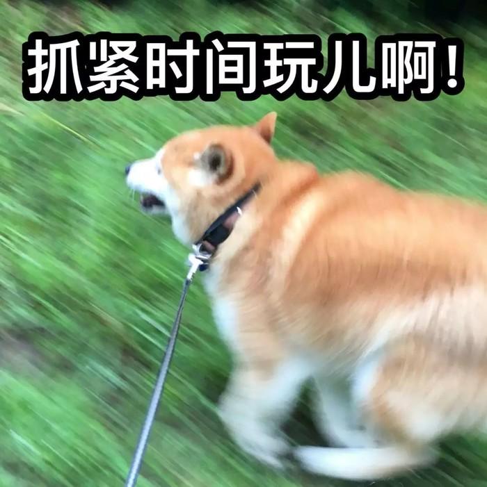 ͼƬ1.jpg
