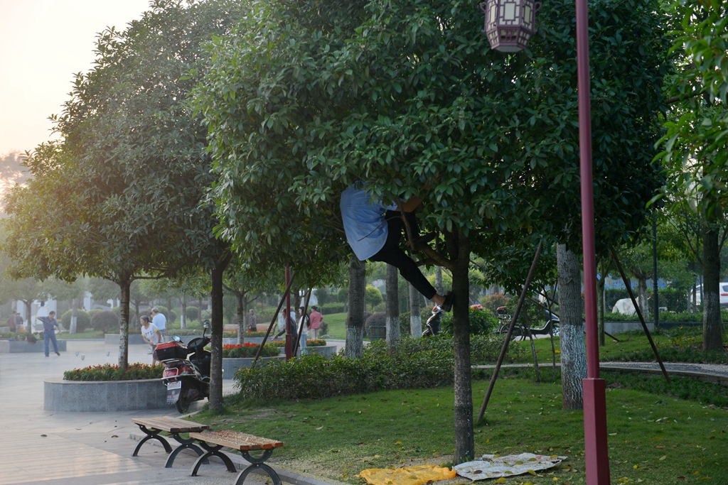 DSC_9589.JPG