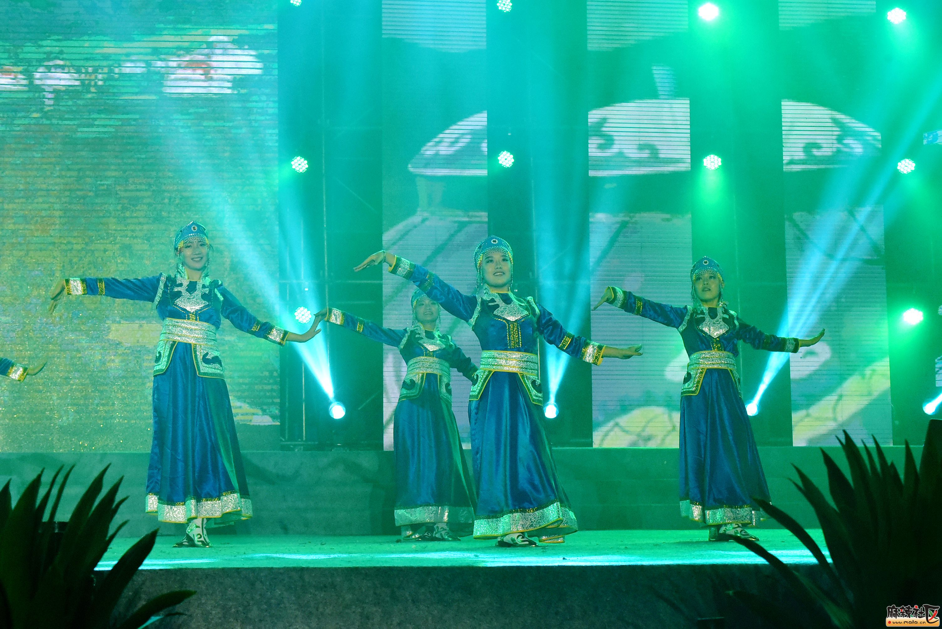 DSC_2403.JPG