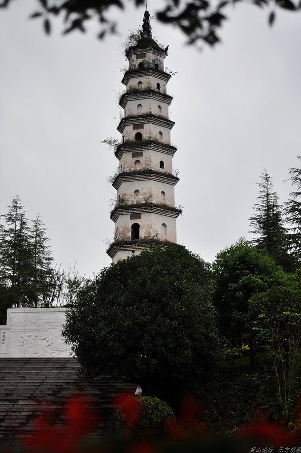 DSC_0129.jpg