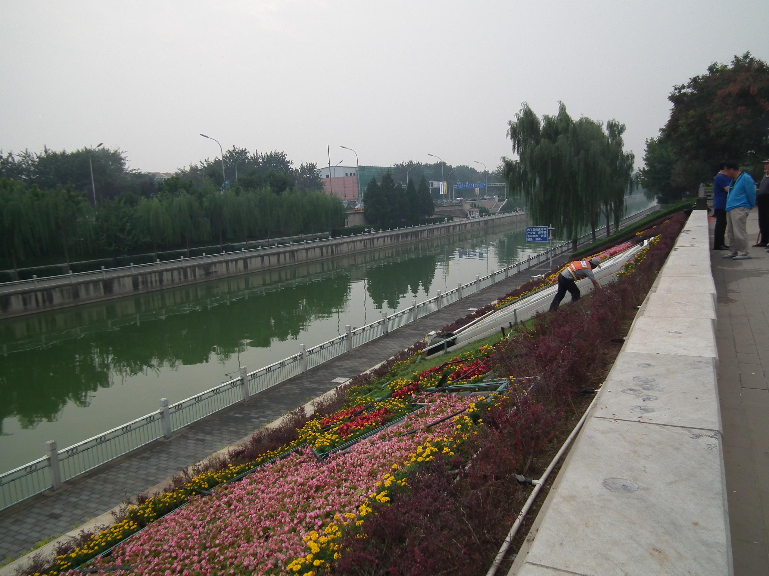 DSCF9165.JPG