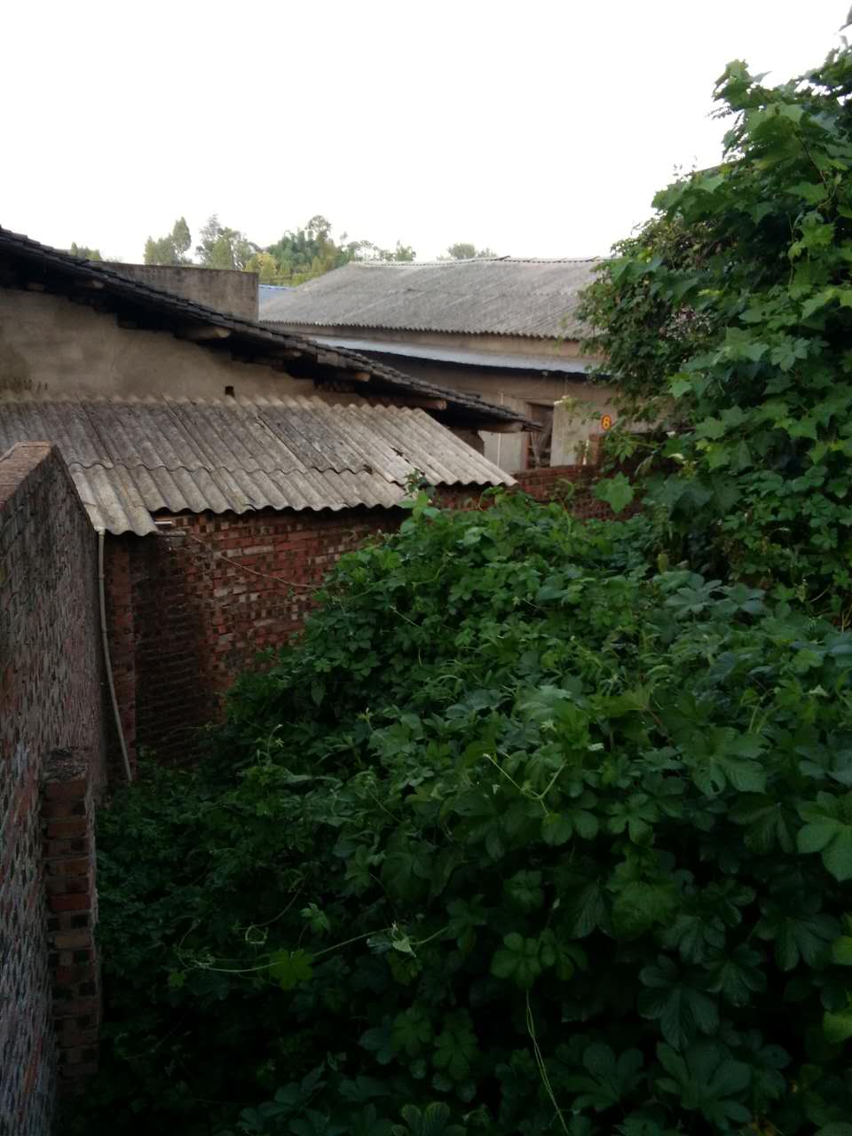 100800ecib5h0bdiliph2k.jpg