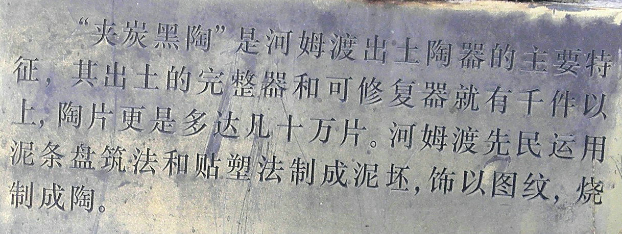 062029pp5i1gkkjzt00ill.jpg