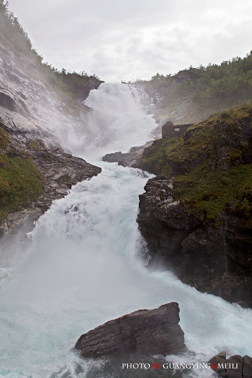 IMG_7347.jpg