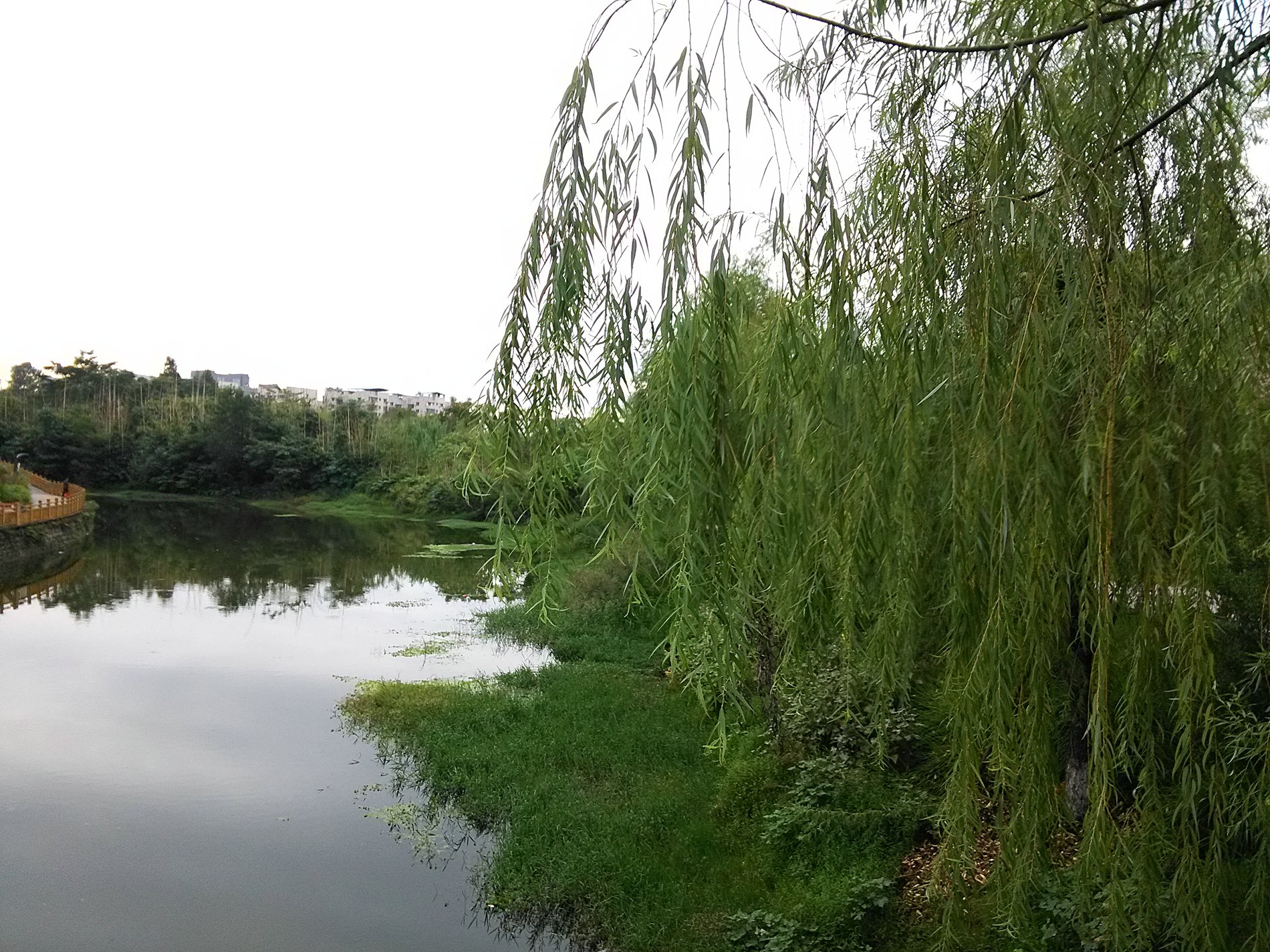 IMG_20160927_172535.jpg