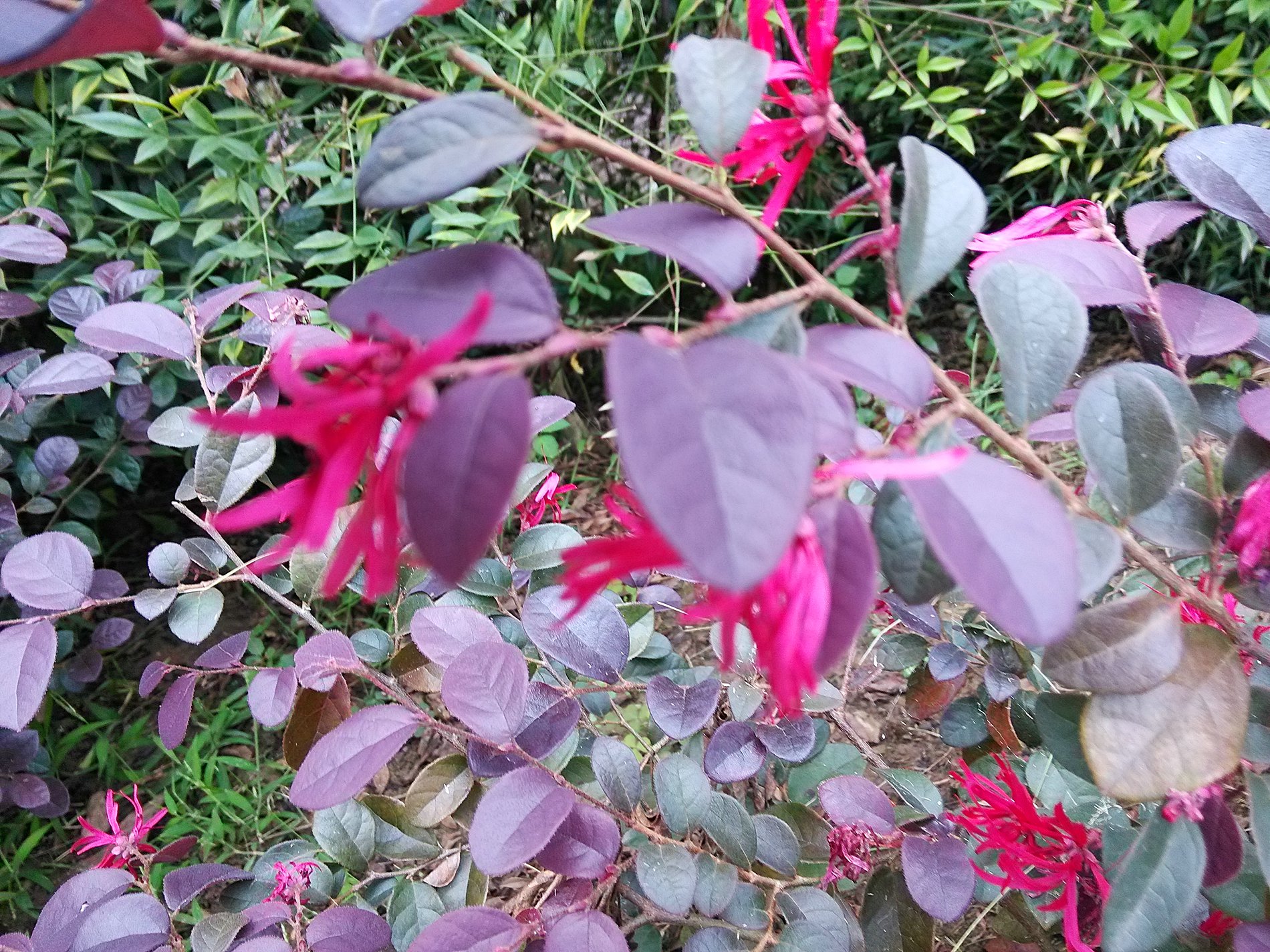 IMG_20160927_172801.jpg