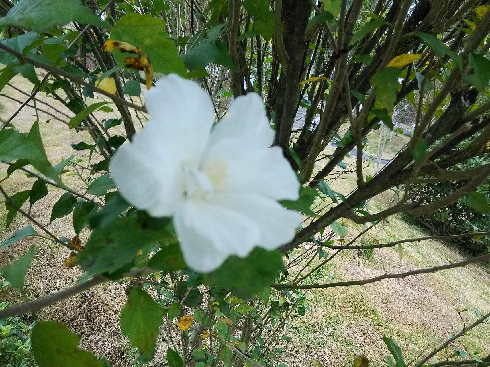 IMG_20160927_172825.jpg