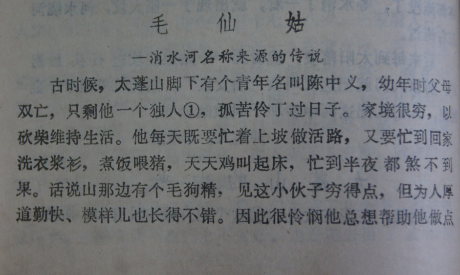 152521ppp47nop4cni7z7n.jpg