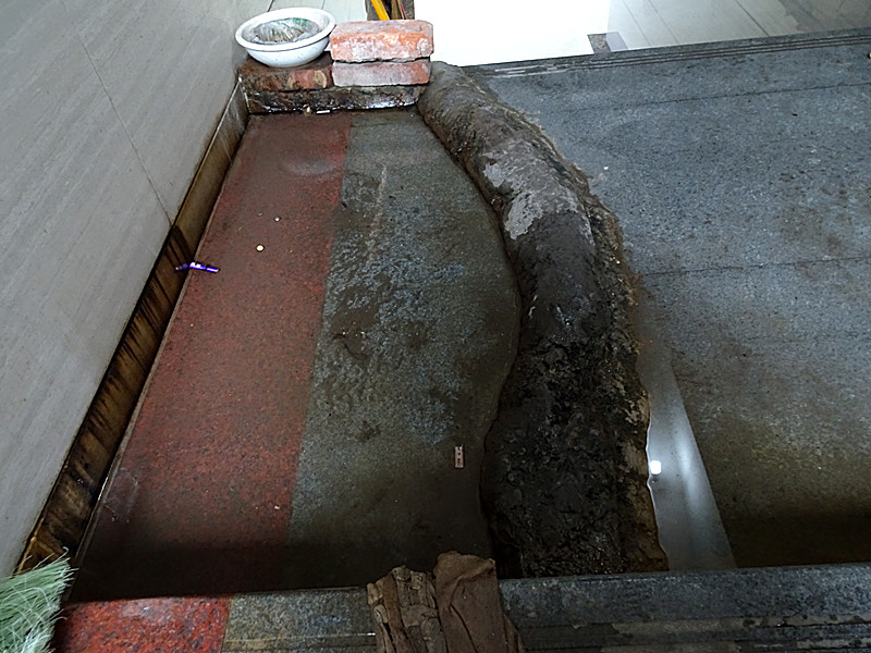 dsc00577_.jpg