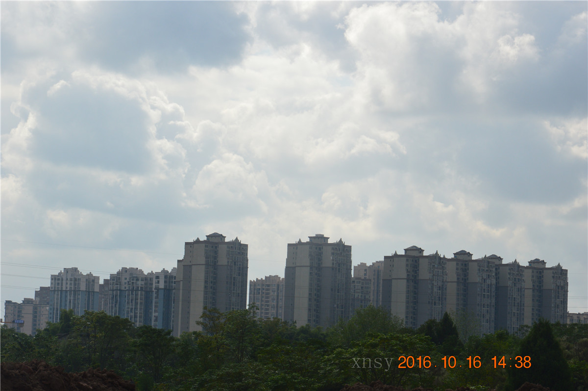 DSC_0093.JPG