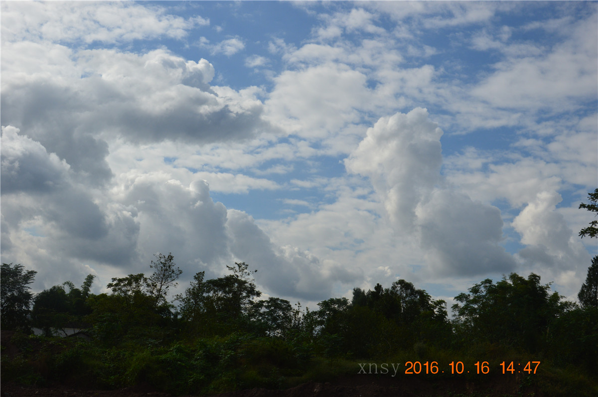 DSC_0104.JPG