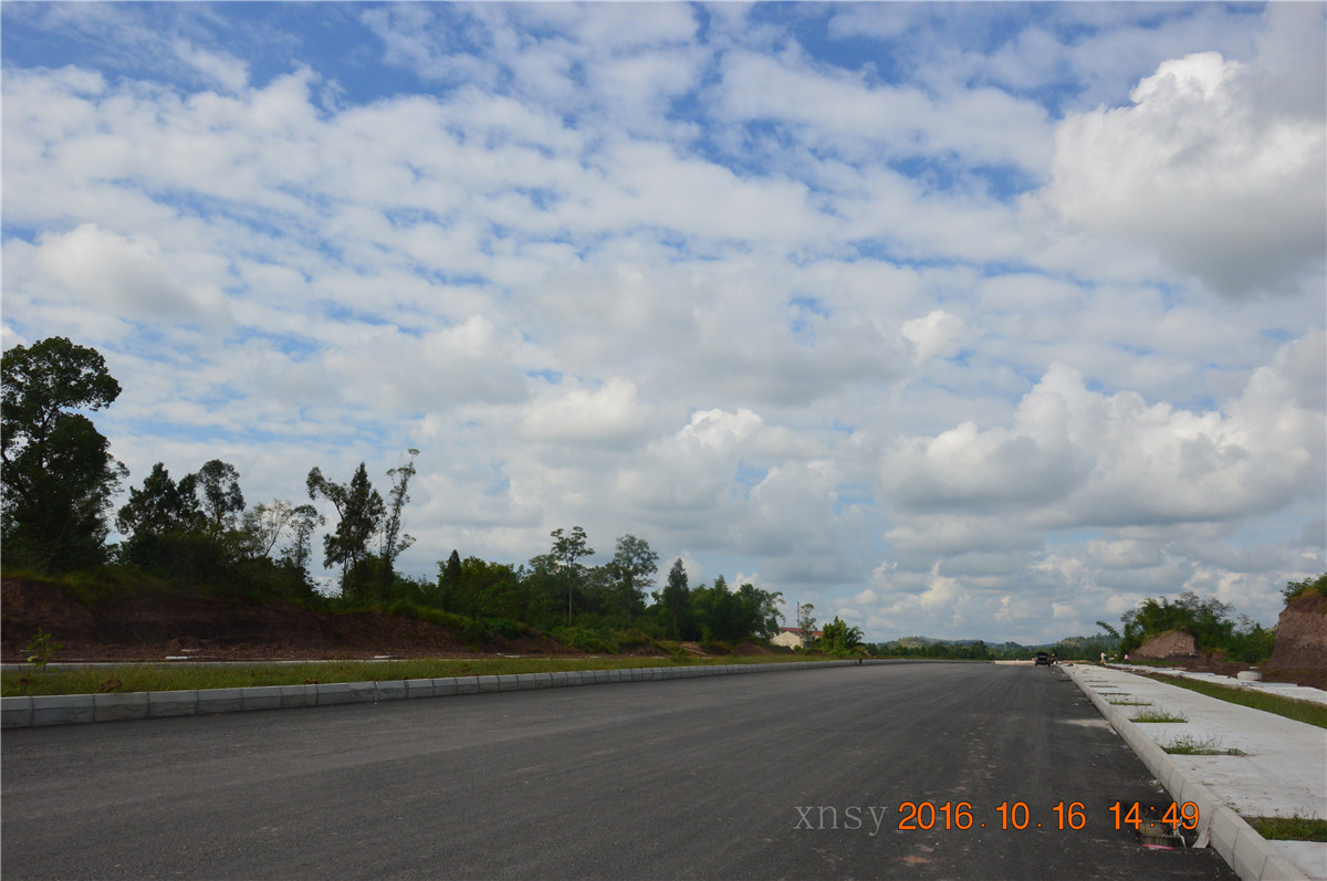 DSC_0107.JPG