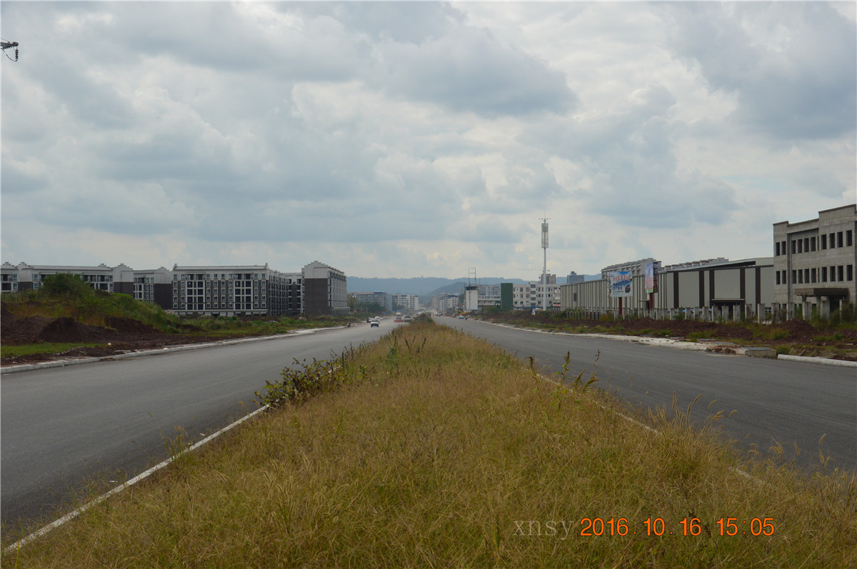 DSC_0123.JPG