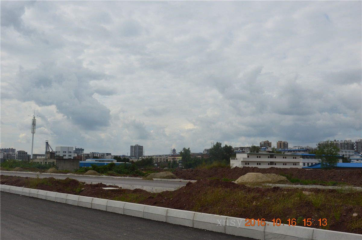 DSC_0131.JPG