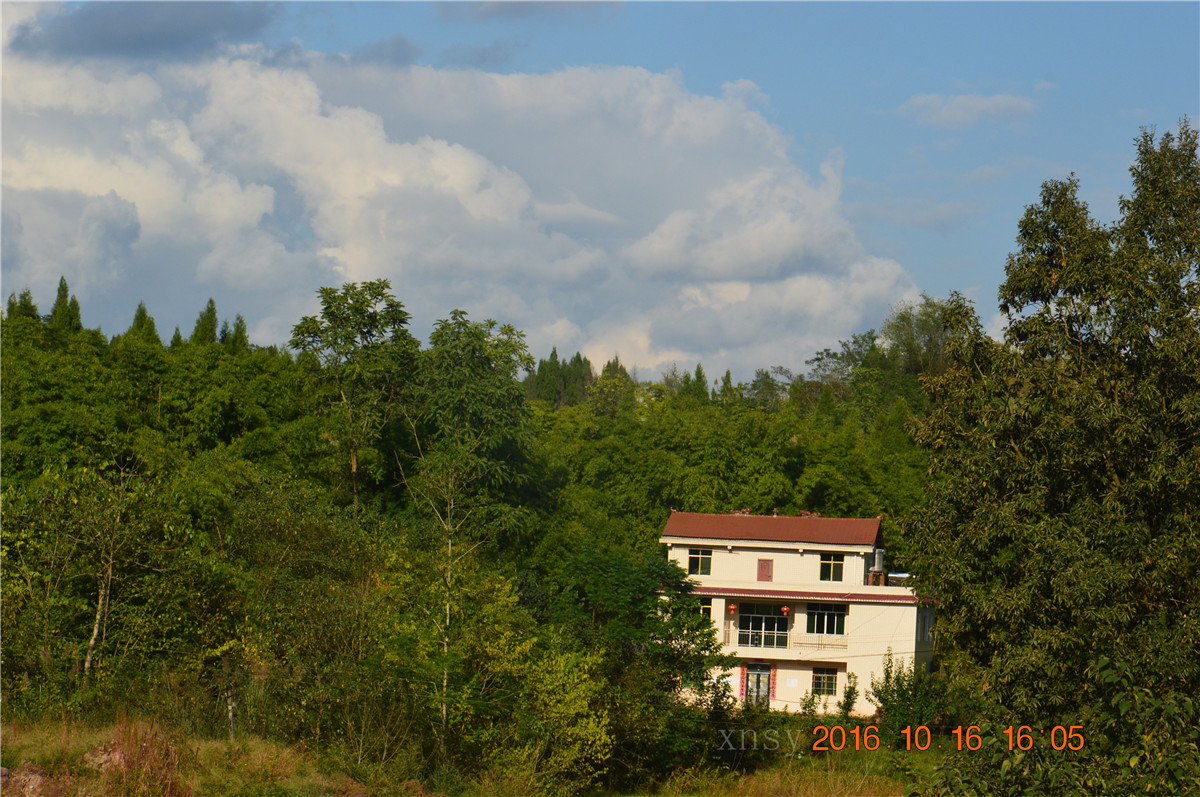 DSC_0187.JPG