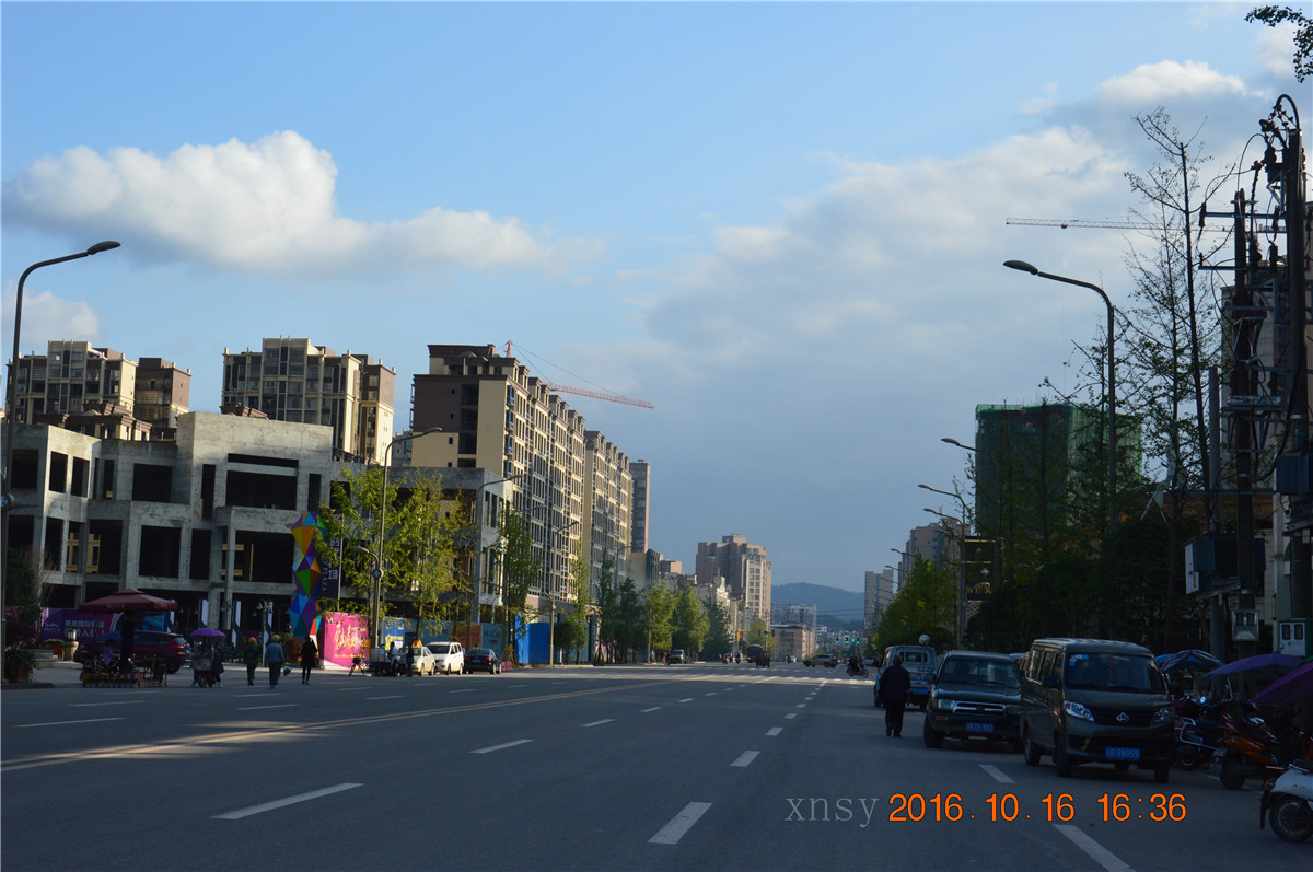 DSC_0222.JPG
