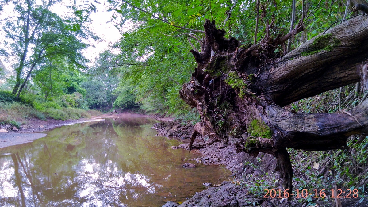 IMG_20161016_122816_HDR.jpg