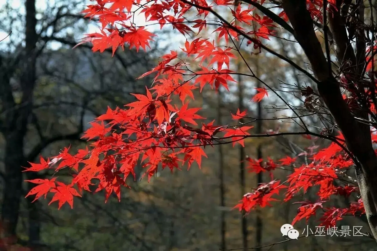 150445ynqyyuyrkaet00ln.jpg
