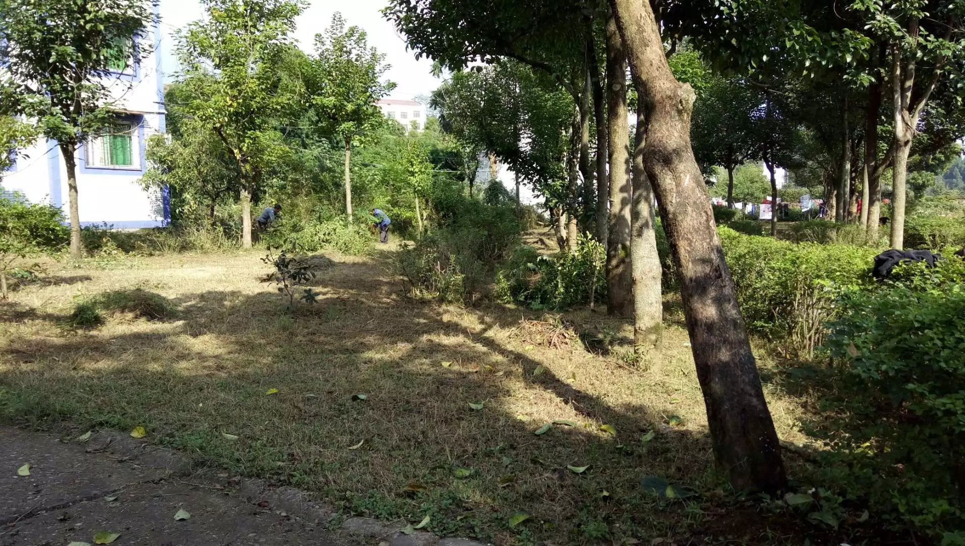 173325gtsxxc9ogn0gboxc.jpg